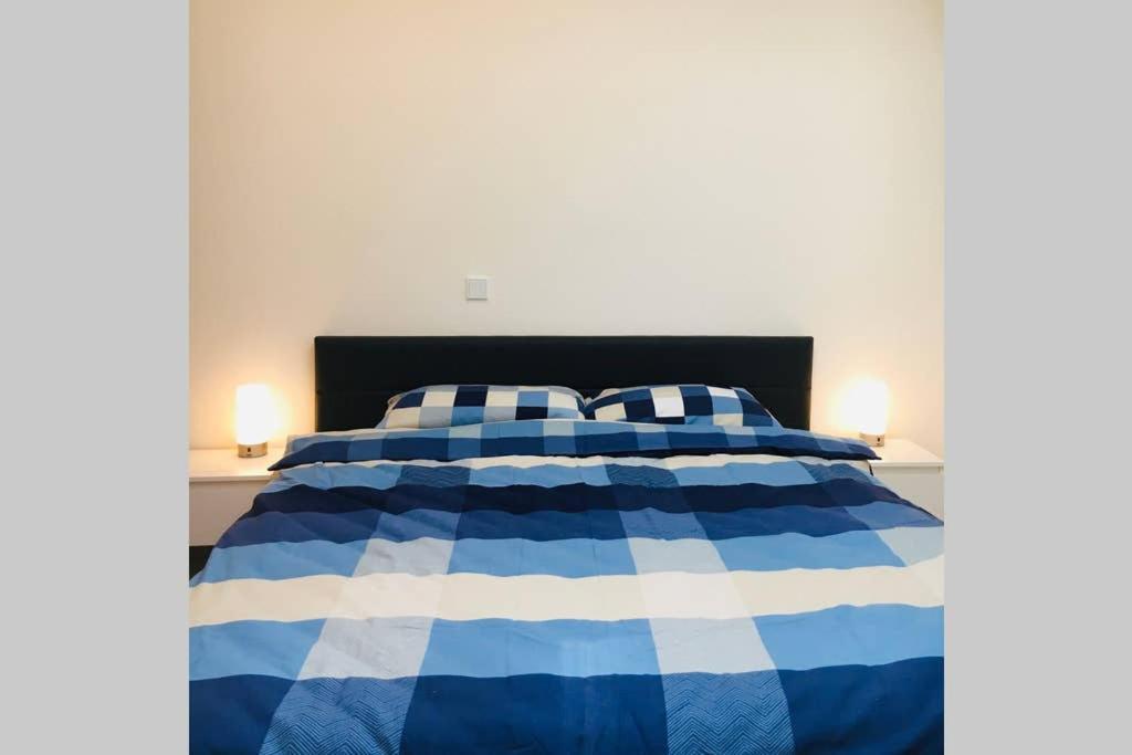 Pearl Studio Apart - King Bed - Netflix - Projector - Fast Wi-Fi トリーア エクステリア 写真